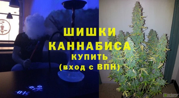 мдпв Кинешма