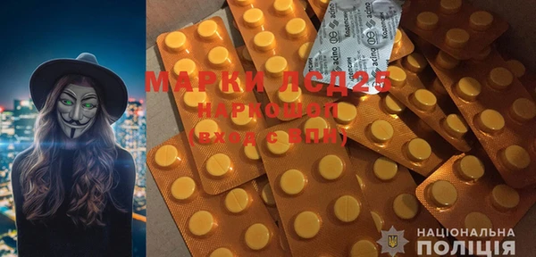 spice Инсар
