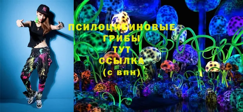 Псилоцибиновые грибы Psilocybine cubensis  Лаишево 