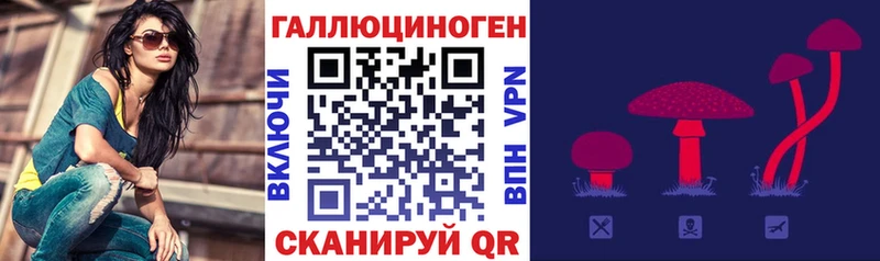 сколько стоит Лаишево Псилоцибиновые грибы мицелий
